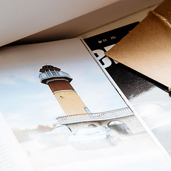 恶湿居下指是什么生肖,最佳生肖解释作答