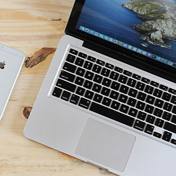 软红十丈是什么生肖，普及词语揭晓释义