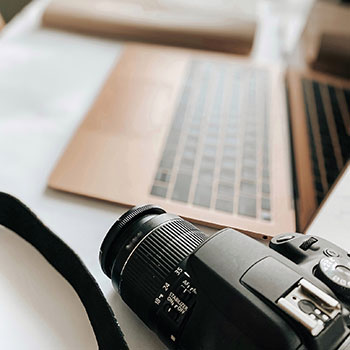 雌一山不容公虎(惊艳)一鸣惊人代表什么生肖,最佳生肖解释作答